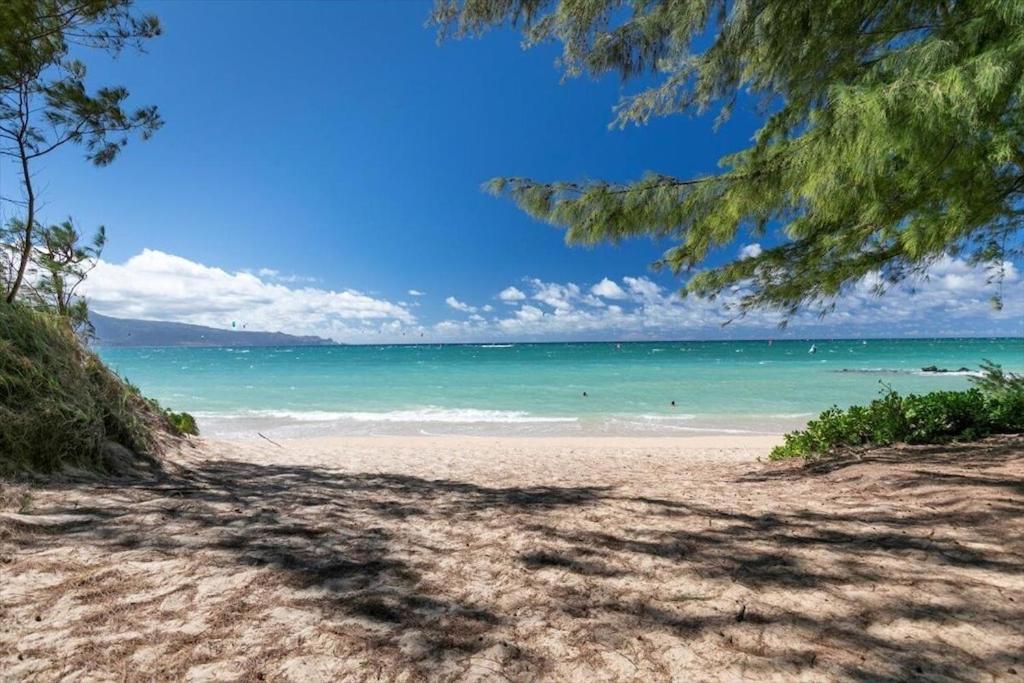 Unit 14 Maui Ohana Modern Studio ワイルク エクステリア 写真